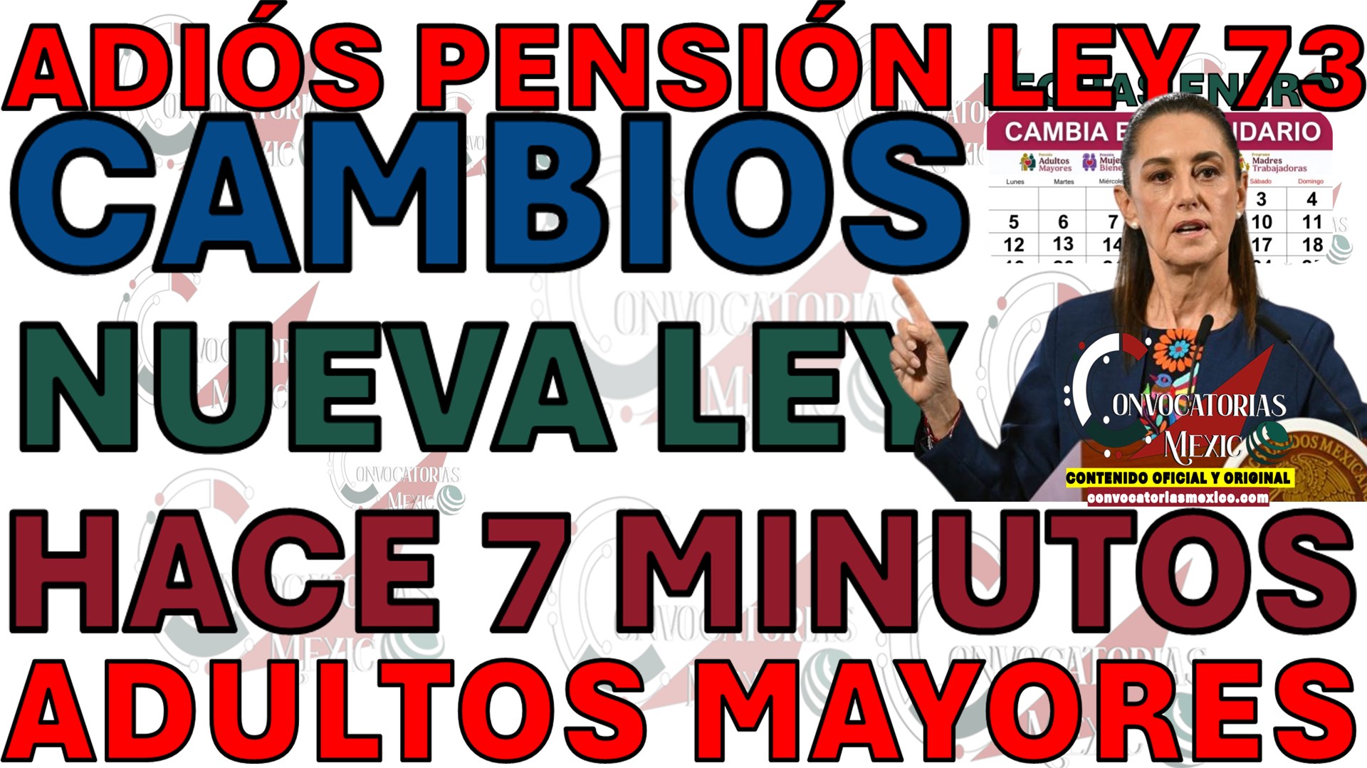 Pensión IMSS y el Ocaso de la Ley 73: Análisis del Nuevo Sistema Universal de Salud y los Cambios para 2026