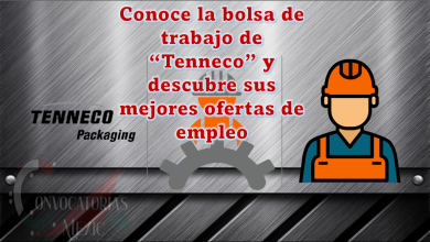 ¡No te quedes con la duda! Conoce la bolsa de trabajo de “Tenneco” y descubre sus mejores ofertas de empleo