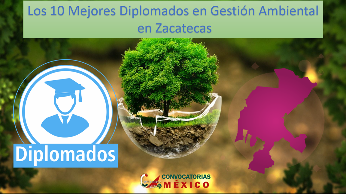 Los 10 Mejores Diplomados en Gestión Ambiental en Zacatecas