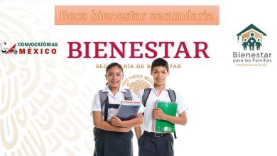 Beca bienestar secundaria