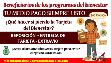 Perdí mi tarjeta: pasos inmediatos y cómo obtener reposición tu Tarjeta del Banco del Bienestar