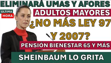 Pensiones en México: Sheinbaum Descarta Regreso a Ley del 73 y Apuesta por Nuevo Fondo Adultos Mayores pensionados 