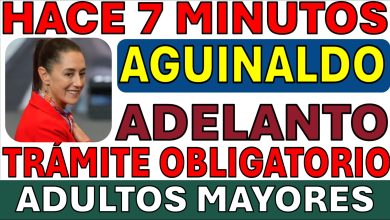 Esto debes saber de las Pensiones en octubre 2025: Adelanto de Aguinaldo IMSS, Nuevos Registros Bienestar y Más