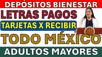 Últimos Pagos de la Pensión Bienestar: Fechas, Montos y Pasos a Seguir para los Adultos Mayores