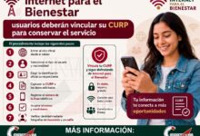 Internet para todos: ¿Es necesario vincular tu CURP al programa? Conserva tu Servicio
