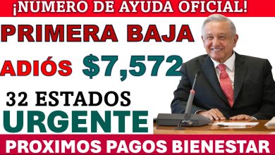 Jóvenes Construyendo el Futuro, primera BAJA 2024 ¡Entrega de Tarjetas Bienestar y Número de atención!