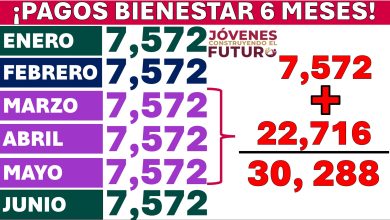 $30 MIL 288 pesos juntos a JÓVENES CONSTRUYENDO EL FUTURO 2024 ¿ADELANTAN? FEBRERO-MARZO-ABRIL-MAYO 1 MES +3 MESES