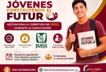 Jóvenes Construyendo el Futuro: Este es el servicio que puedes obtener con tu capacitación durante 12 meses