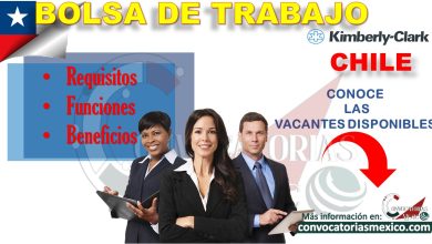 Bolsa de trabajo Kimberly Clark Chile