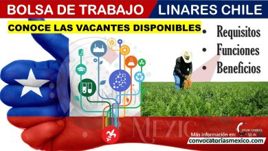 Bolsa de Trabajo Linares Chile