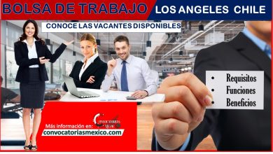 Bolsa de trabajo Los Ángeles Chile