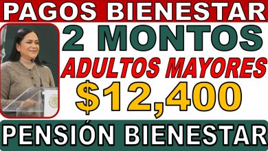 La próxima veda electoral, el posible pago doble para adultos mayores de la Secretaría del Bienestar y el choque entre el Poder Judicial y la presidenta Claudia Sheinbaum