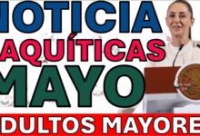 MAYO ADULTOS MAYORES avisos bienestar noticias