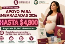 Mujeres Sanas e Infancias Protegidas CDMX 2026: apoyo de hasta $4,800 para embarazadas