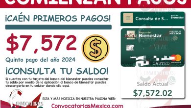 ¡Adelantan pagos de $7,572 pesos! Para este Programa del Bienestar 2024