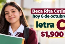 Mesa de trabajo 1 19