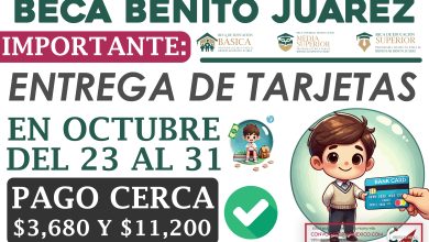 Mesa de trabajo 1 218