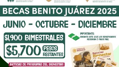 Junio - Octubre - Diciembre Pagos de $1,900 pesos de la Beca Benito Juárez 2025