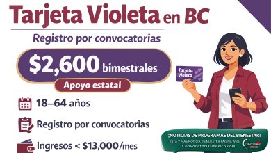 ¿Tienes entre 18 y 64 años? La Tarjeta Violeta te apoya con $2,600 pesos bimestrales este 2026