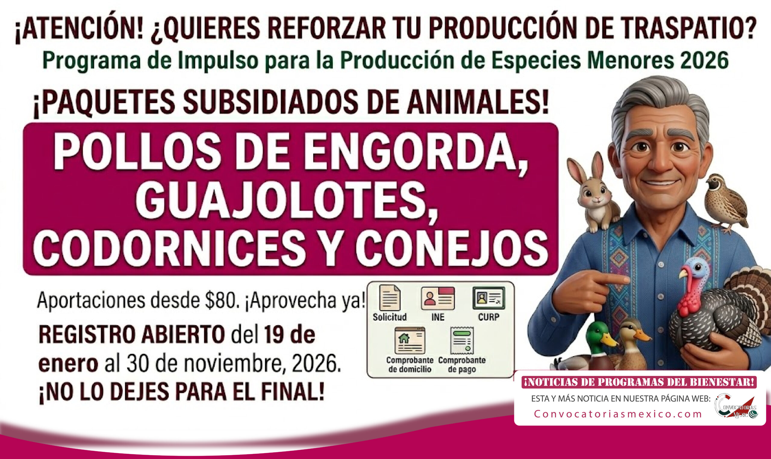 Programa de Impulso para la Producción de Especies Menores 2026: abre apoyo para aves, conejos y más