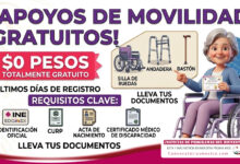 Convocatoria 2026: apoyo gratuito para personas con discapacidad para caminar 