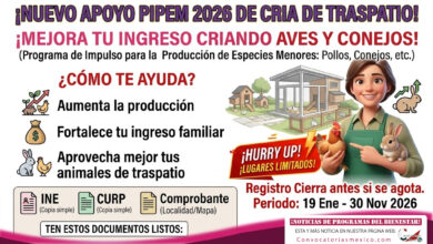 Nuevo apoyo para mejorar tus ingresos criando aves y conejos PIPEM 2026