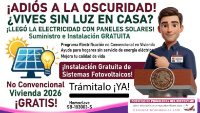 ¿Vivez sin luz en casa? Recibe paneles solares totalmente gratis ¡Trámitalo Ya!