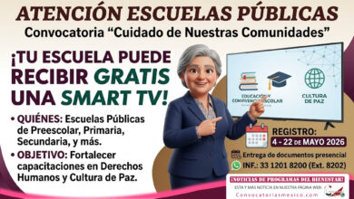 Mesa de trabajo 1 491