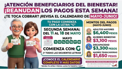Comienzan nuevos pagos para beneficiarios de los Programas del Bienestar a partir del 11 de mayo: segunda semana de pagos