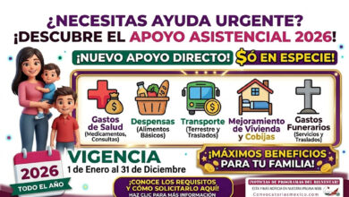 Apoyos asistenciales en 2026: dinero o ayuda en especie para personas en situación prioritaria