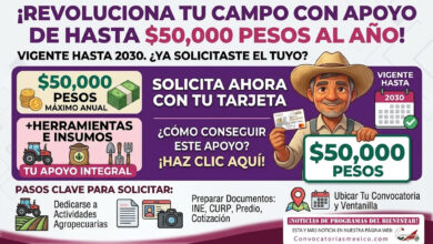 Apoyo económico para herramientas, insumos y equipos de trabajo estará vigente hasta 2030