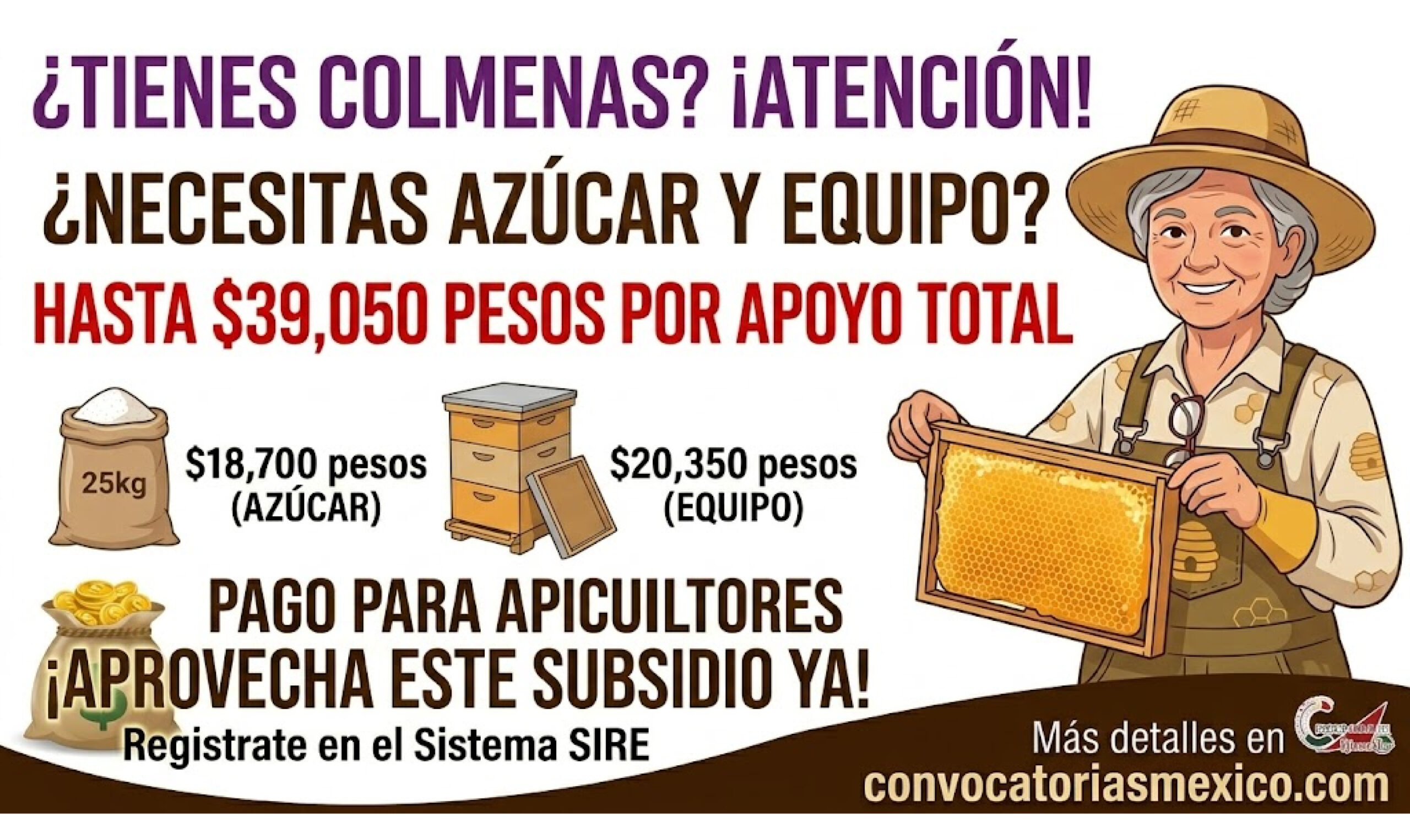 Impulso a la Apicultura Morelense 2026: apoyo para azúcar, cajones e implementos apícolas en Morelos