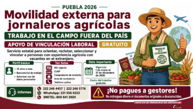 Movilidad externa para jornaleros agrícolas en Puebla 2026: apoyo para trabajar en el campo fuera del país