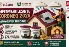 Impermeabilizante Coroneo 2026: apoyo para rehabilitar techos con humedad o filtraciones