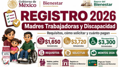 Registro 2026 a Madres Trabajadoras y Personas con Discapacidad: requisitos, cómo solicitar y cuánto pagan