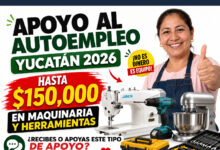 Apoyo al Autoempleo Yucatán 2026: entregan hasta 150 mil pesos en maquinaria y herramientas