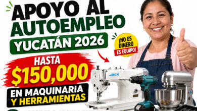 Apoyo al Autoempleo Yucatán 2026: entregan hasta 150 mil pesos en maquinaria y herramientas