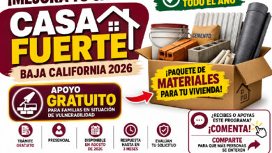 Mesa de trabajo 1 543