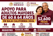 Apoyo para Adultos Mayores de 60 a 64 años en Baja California 2026: entrega $2,600 bimestrales y puede solicitarse todo el año