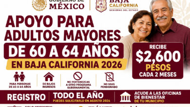 Apoyo para Adultos Mayores de 60 a 64 años en Baja California 2026: entrega $2,600 bimestrales y puede solicitarse todo el año