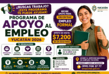 Programa de Apoyo al Empleo Yucatán 2026: requisitos para encontrar trabajo y acceder a vacantes