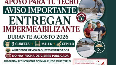 ¡Apoyo para tu techo! Entregan impermeabilizante en Ciudad Juárez durante agosto de 2026