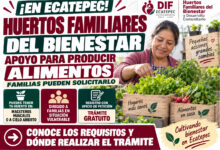 Huertos Familiares del Bienestar en Ecatepec: familias pueden solicitar apoyo para producir alimentos