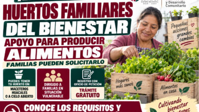 Huertos Familiares del Bienestar en Ecatepec: familias pueden solicitar apoyo para producir alimentos