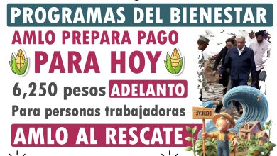 ¿Se adelanta pago del programa sembrando vida por huracan John?