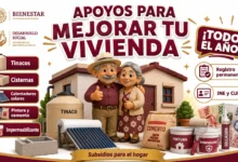 Avanzando por las Familias Huixquiluquenses: apoyos para mejorar viviendas en Huixquilucan durante todo el año