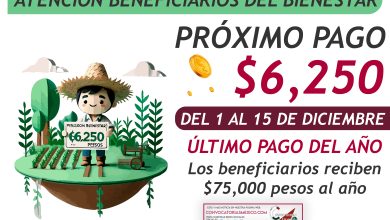 Del 1 al 15 de diciembre pago de $6,250 pesos de la Secretaría del Bienestar para estos beneficiarios