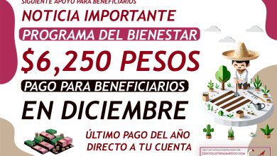 Primeros días de diciembre pago de $6,250 pesos de este programa del Bienestar 2024