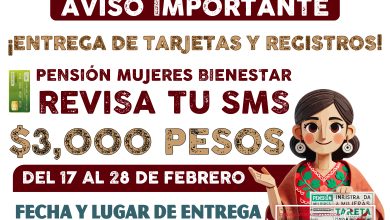 Mesa de trabajo 2 295