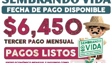 Pagos de $6,450 pesos para estos beneficiarios de los Programas del Bienestar 2025